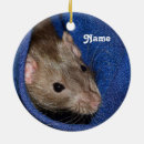 Suche nach rat ornamente Maus