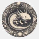 Suche nach axolotl aufkleber Darstellung
