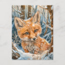 Suche nach fuchs illustration postkarten Für kinder