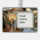 Suche nach herbstlaub ornamente Blätter