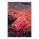 Suche nach boje poster Strand