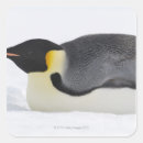 Suche nach temperatur aufkleber Wild lebende tiere