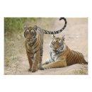 Suche nach bengal tiger poster Bedroht
