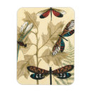 Suche nach insekten magnete Megan meagan