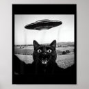 Suche nach lustige schwarze katze poster Dunkle ästhetik