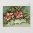 Suche nach romantic postkarten Rose