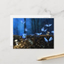 Suche nach magischer pilz postkarten Wald