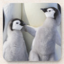 Suche nach kaiser pinguin untersetzer Tier