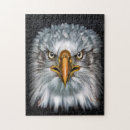 Suche nach amerikanischer adler puzzle Raptor