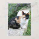 Suche nach oper einladungen Katze