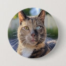 Suche nach große katze buttons Für haustiere
