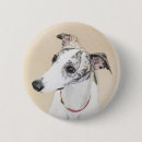 Suche nach whippets buttons Welpe