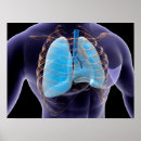 Suche nach lungen poster Digital generiertes bild