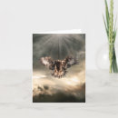 Suche nach bird of prey postkarten Birds