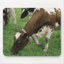 Suche nach weide mousepads Herde