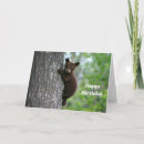 Suche nach bären geburtstag karten Niedlich