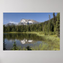 Suche nach bäume kunst Landschaft