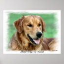 Suche nach golden retriever kunst poster Goldgelb