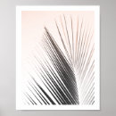 Suche nach palm leaf poster Blatt