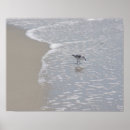 Suche nach pipe poster Ozean