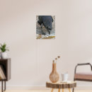 Suche nach crow poster Tiere