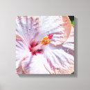 Suche nach hibiskus blume leinwandbilder Hawaii