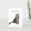 Suche nach tigerkatze karten Tabelle