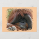 Suche nach orang utan einladungen Affe