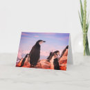 Suche nach pinguine kleine grußkarten Schnee