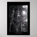 Suche nach redwood poster Woods