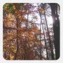 Suche nach herbstbaum aufkleber Natur