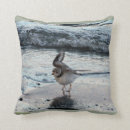 Suche nach regenpfeifer Leiten