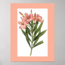 Suche nach vintage flower poster Floral