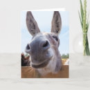 Suche nach esel karten Demokrat