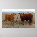 Suche nach vieh poster Bauernhof