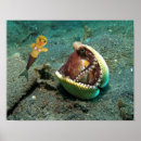 Suche nach delfin poster baby kinder Für kinder