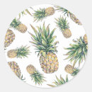 Suche nach tropische ananas aufkleber Modisch