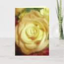 Suche nach gelbe rosen karten Blume