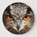 Suche nach owl wanduhren Wall