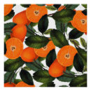 Suche nach verbot poster Blätter