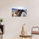 Suche nach sattel poster Ranch