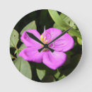 Suche nach plumeria wanduhren Blume
