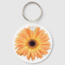Suche nach gerbera schlüsselanhänger Natur
