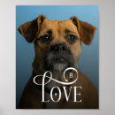 Suche nach moderne hunde poster Für haustiere