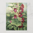Suche nach hollyhock poster Malerei