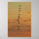 Suche nach parachute poster Fallschirm