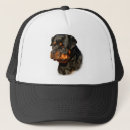 Suche nach rottweiler kappen Welpe