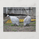 Suche nach richtung postkarten Straße