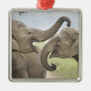 Suche nach indischer elefant ornamente Fauna