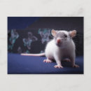 Suche nach raten andere postkarten Maus